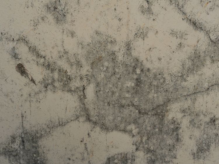 Damp patches, mould and fine cracks spreading across a painted wall