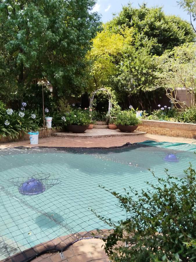 A garden pool under a safety net, with a brick-paved surround, potted plants and trees